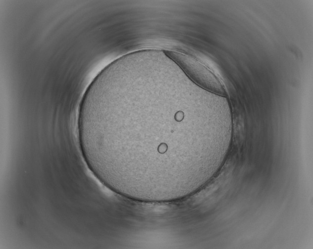 X0000112421103200909111005