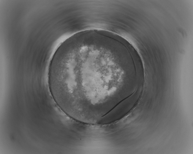 X0000112421104200909111005