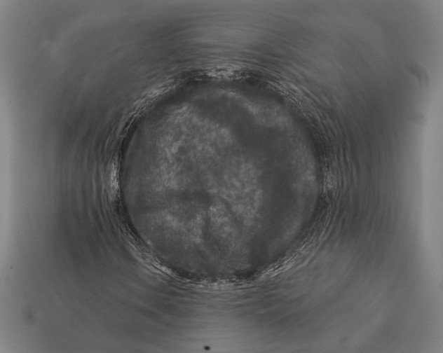 X0000112421106200909111004