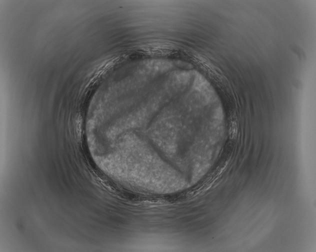 X0000112421108200909111004