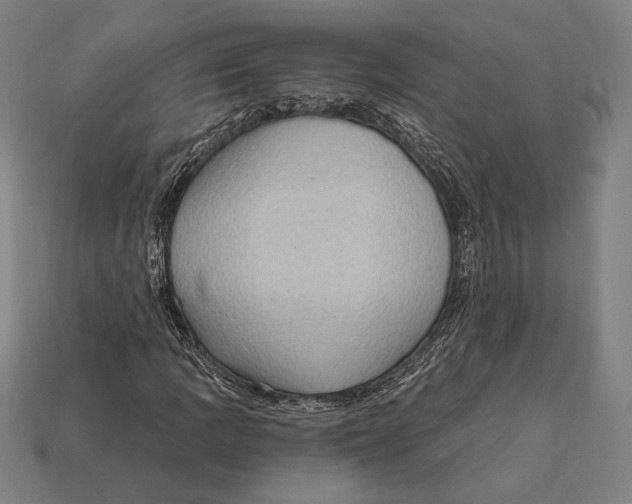 X0000112421109200909111004