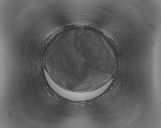 X0000112421110200909111004