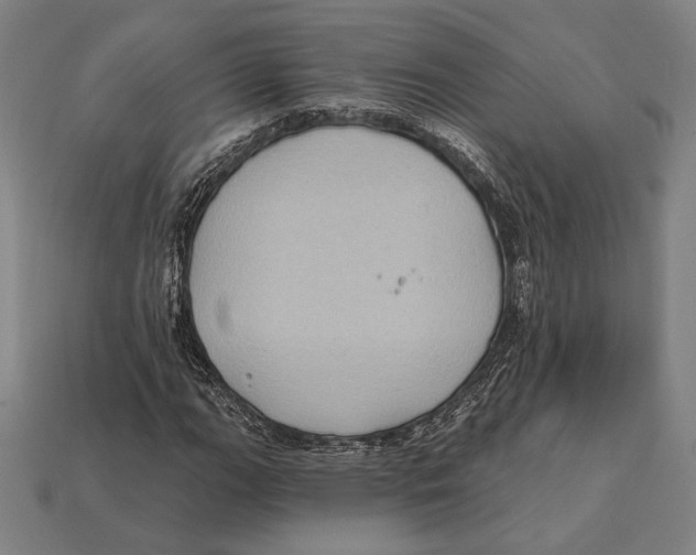 X0000112421111200909111004