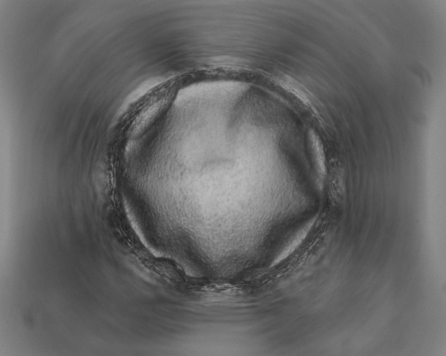 X0000112421112200909111004