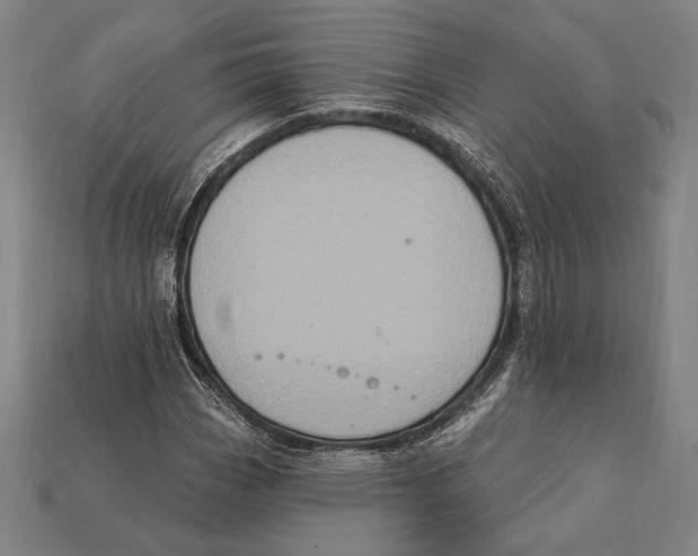 X0000112421113200909111004