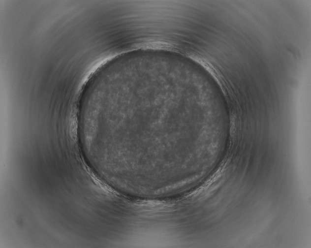 X0000112421115200909111004