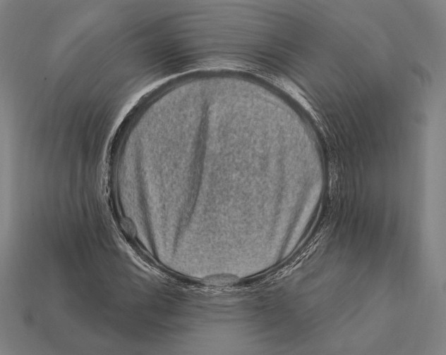 X0000112421116200909111004