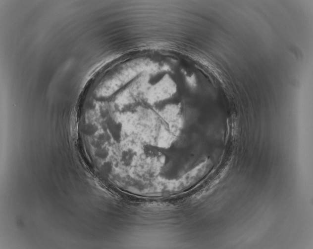 X0000112421117200909111004