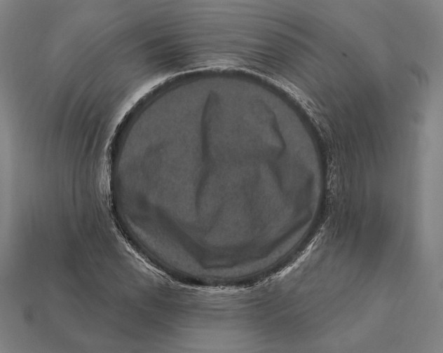 X0000112421118200909111004