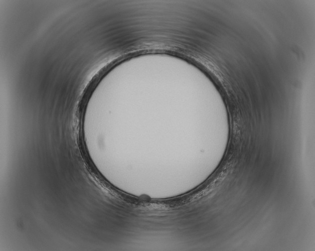 X0000112421119200909111004