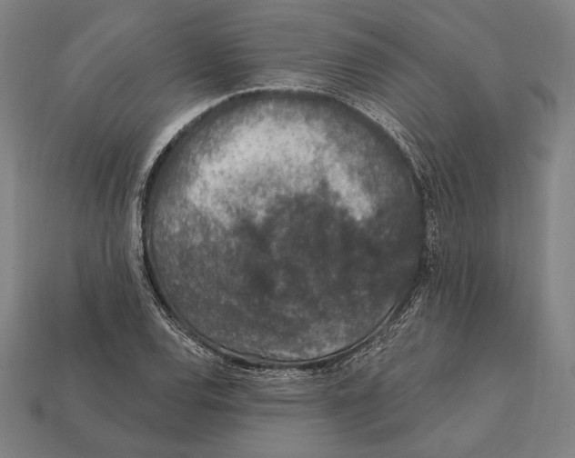 X0000112421120200909111004