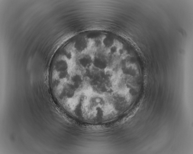 X0000112421121200909111004