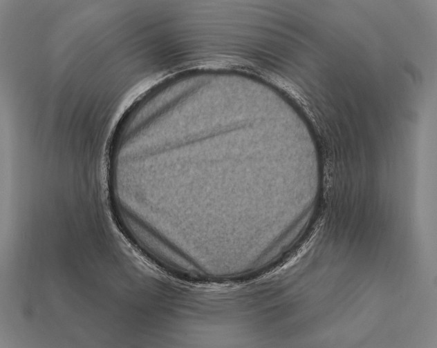 X0000112421122200909111005