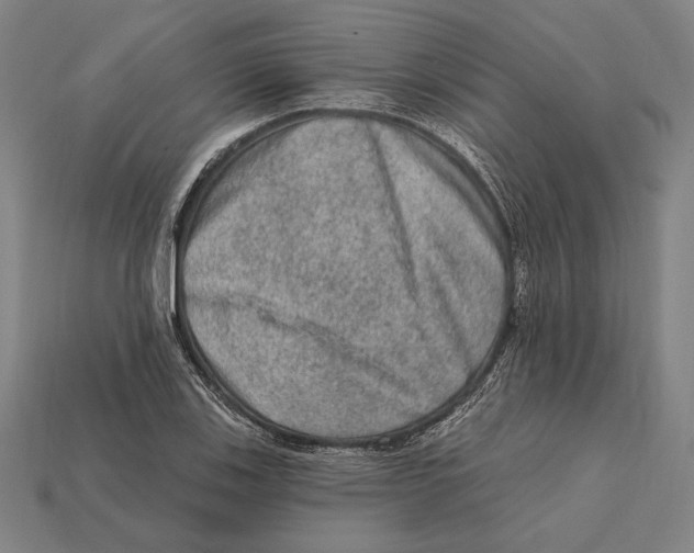 X0000112421123200909111005