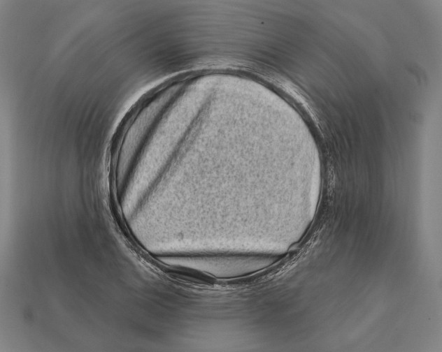 X0000112421124200909111005