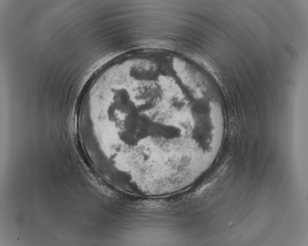 X0000112421125200909111005