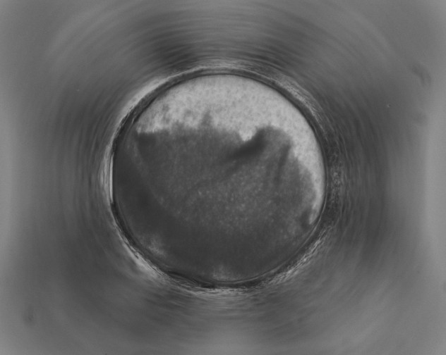 X0000112421127200909111005