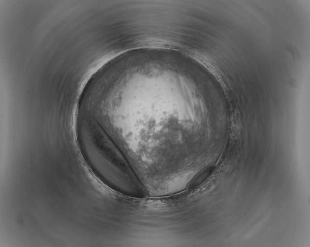 X0000112421128200909111005