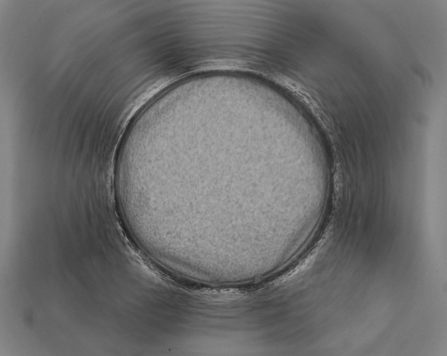 X0000112421129200909111005