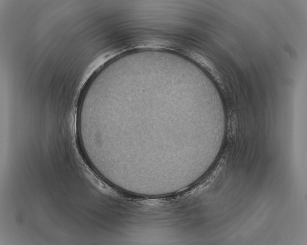 X0000112421130200909111005