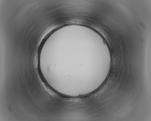 X0000112421131200909111005