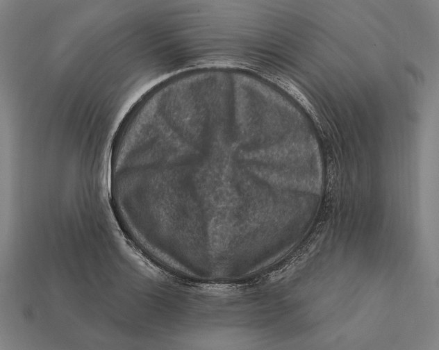 X0000112421132200909111005