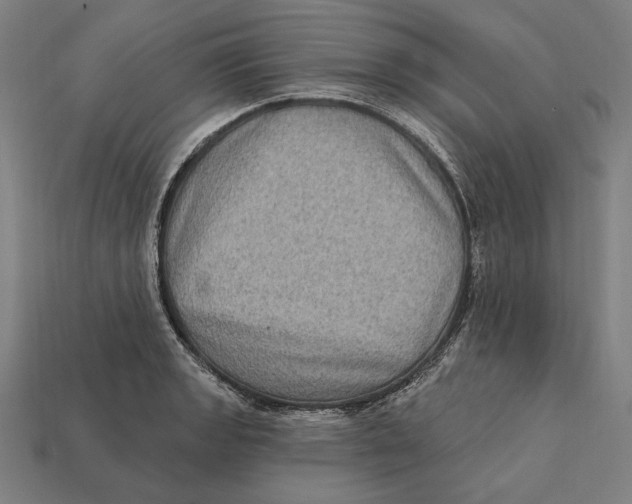 X0000112421133200909111005