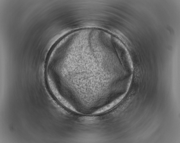 X0000112421134200909111005