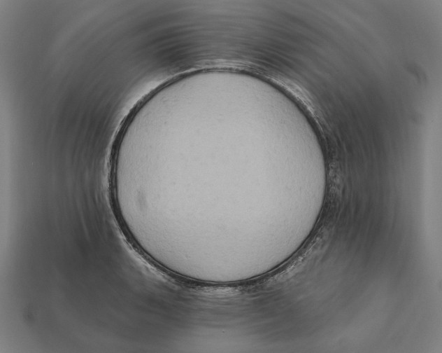 X0000112421135200909111005