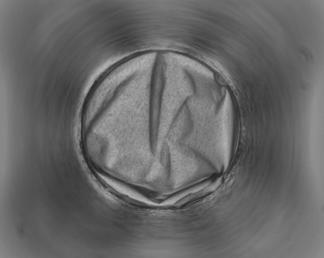 X0000112421136200909111005