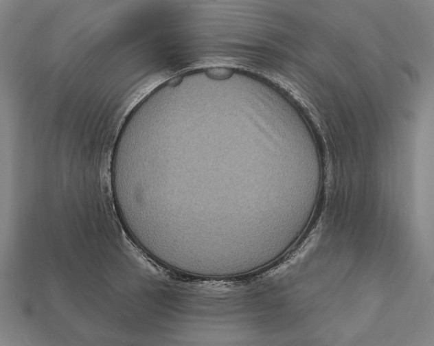 X0000112421137200909111005