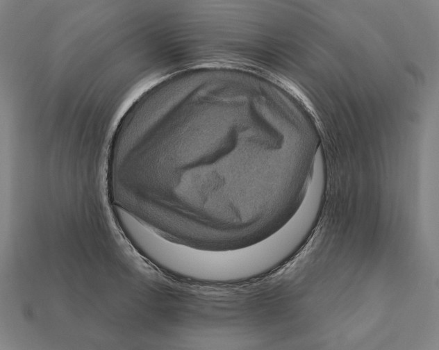 X0000112421138200909111005