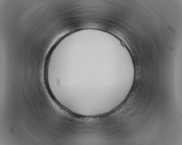 X0000112421139200909111005