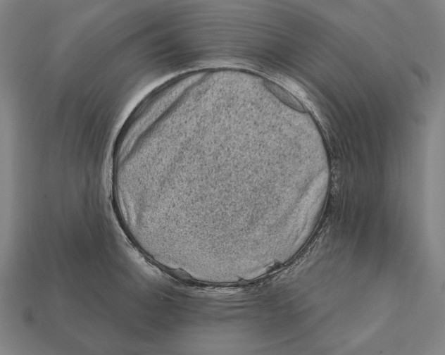 X0000112421140200909111005