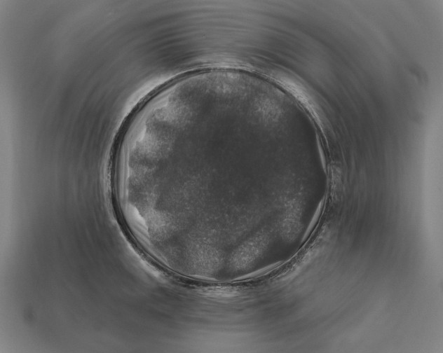 X0000112421141200909111005