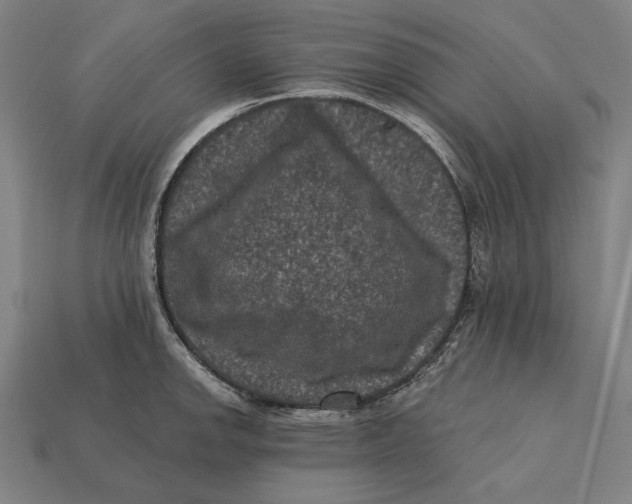 X0000112421142200909111005