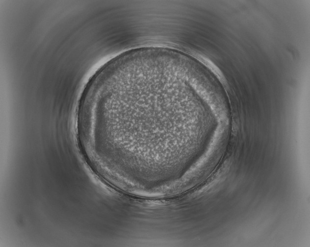 X0000112421144200909111005