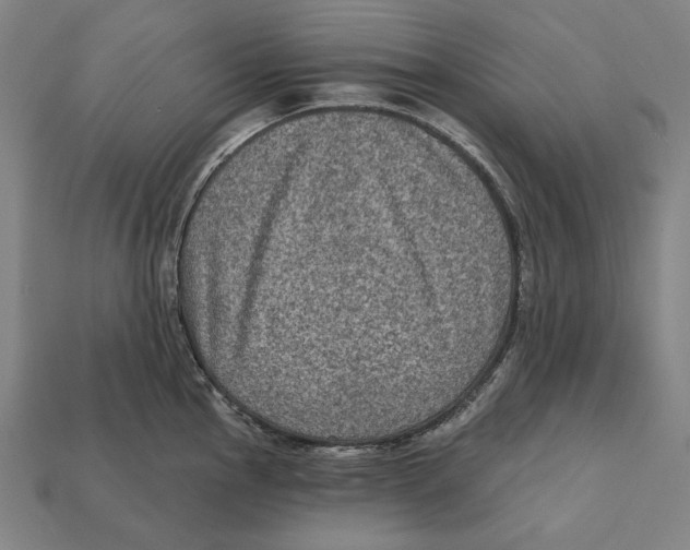 X0000112421145200909111005