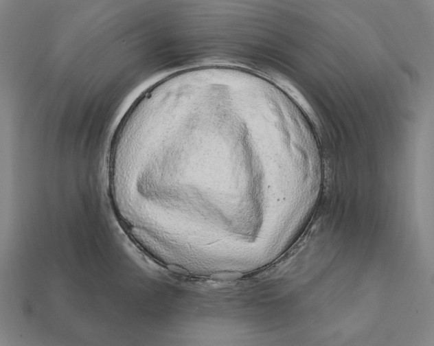 X0000112421148200909111005