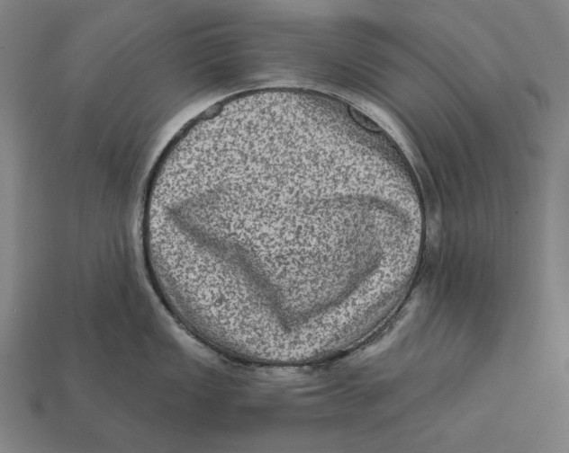 X0000112421149200909111005