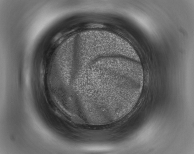 X0000112421151200909111005