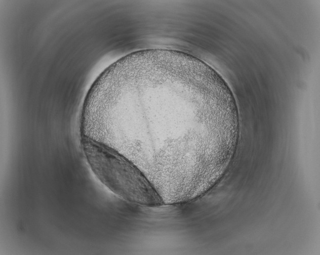 X0000112421152200909111005