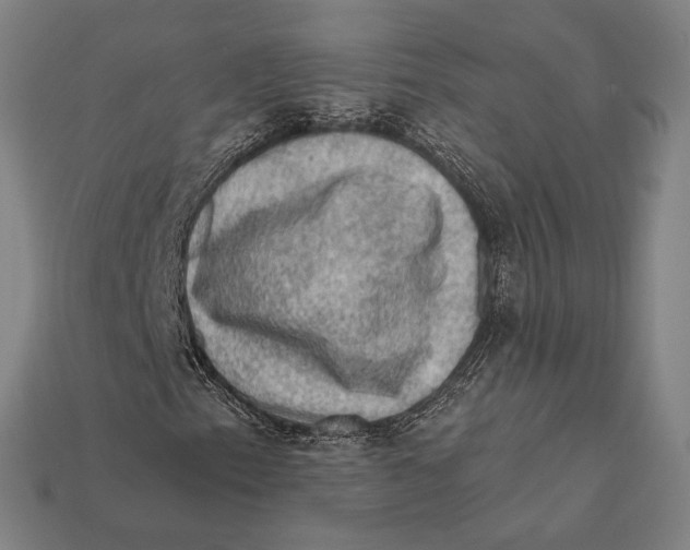 X0000112421153200909111004