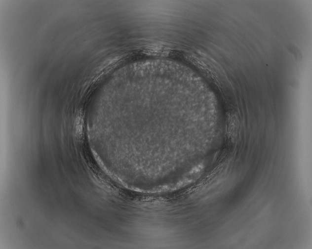 X0000112421154200909111004