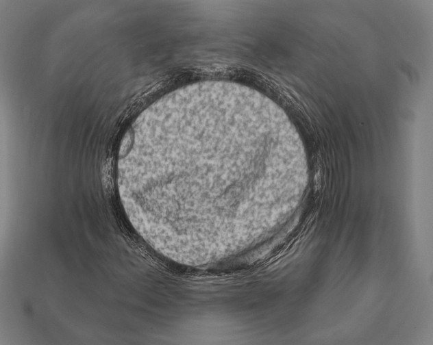 X0000112421156200909111004