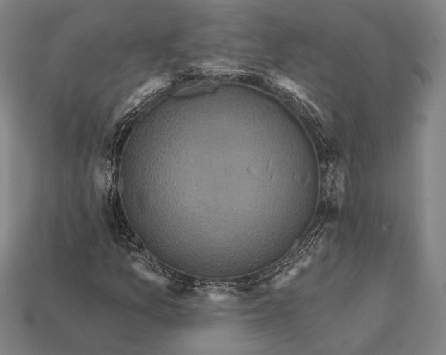 X0000112421157200909111004