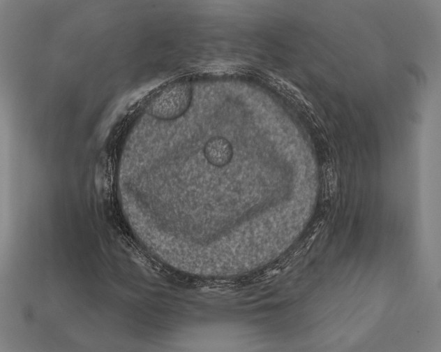 X0000112421158200909111004