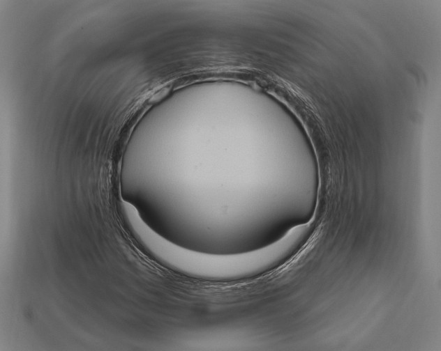 X0000112421161200909111004