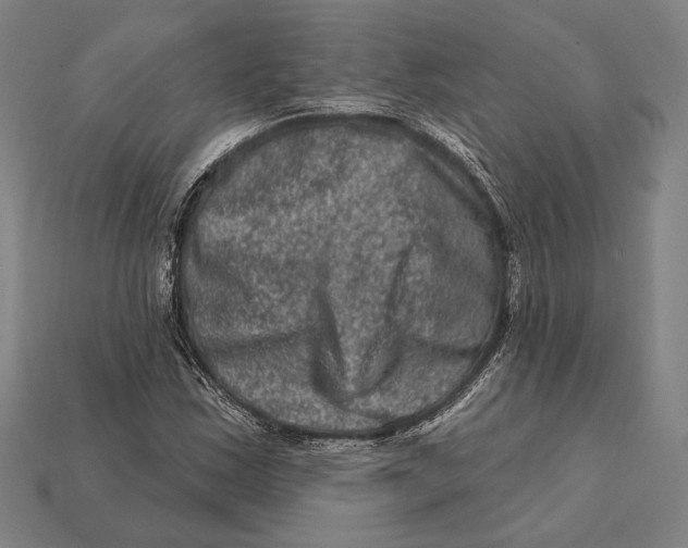 X0000112421163200909111004