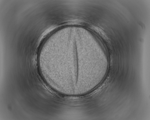 X0000112421164200909111004